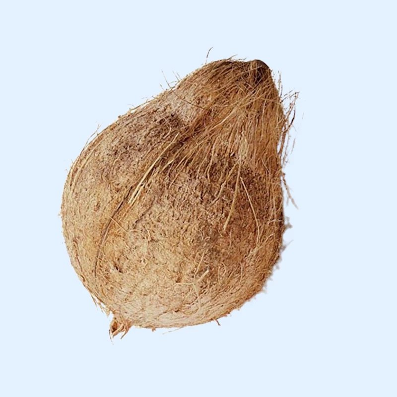 Coconut (தேங்காய்) - 1 PCS 500gmTo600gm Aprox