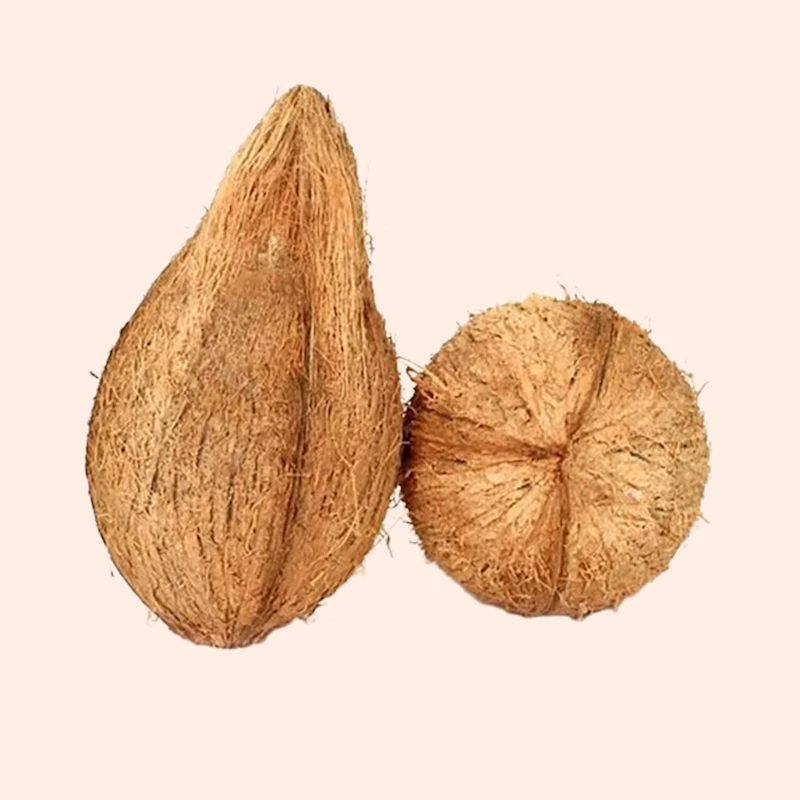 Coconut (தேங்காய்) - 2 PCS 1kgTo1.25kg Aprox