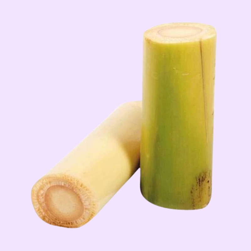 Plantain Stem (வாழைத்தண்டு) - 1 Pcs