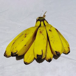 banana